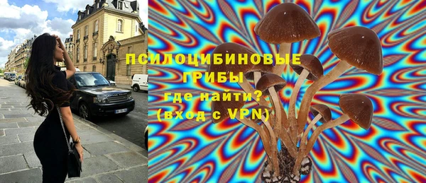 первитин Белоозёрский