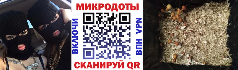 Псилоцибиновые грибы Psilocybe  Купить  Мирный 