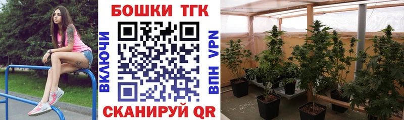 Купить  Мирный  Бошки марихуана THC 21% 